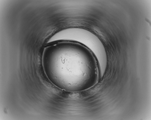 X0000099300362200805021236