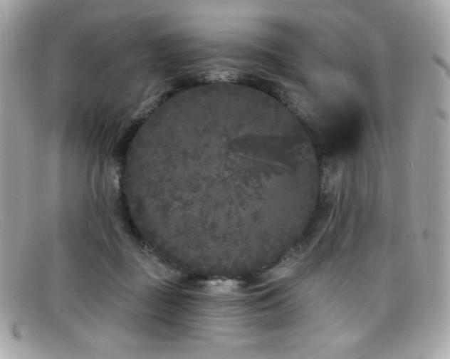 X0000099300363200805021236