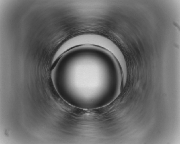 X0000099300364200805021236