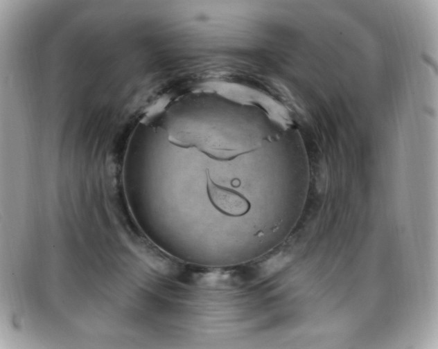 X0000099300366200805021236