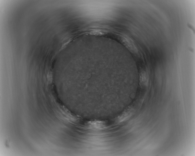 X0000099300367200805021236