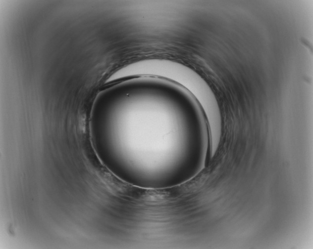 X0000099300368200805021236