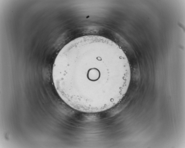 X0000099300370200805021236