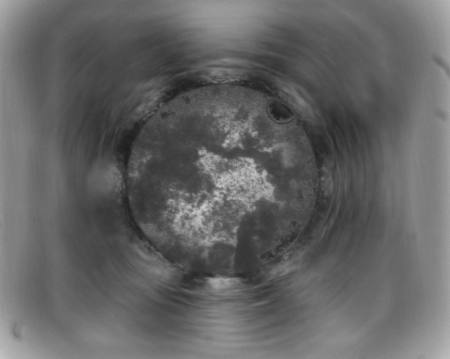 X0000099300371200805021236