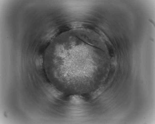 X0000099300372200805021236