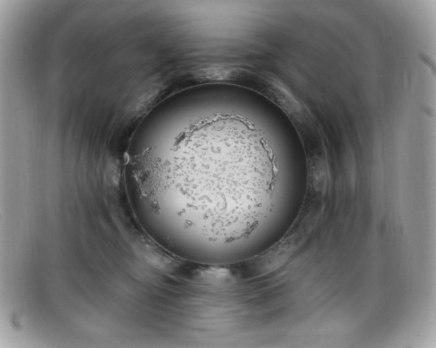 X0000099300374200805021236