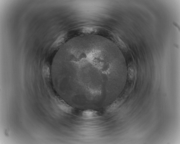 X0000099300375200805021236