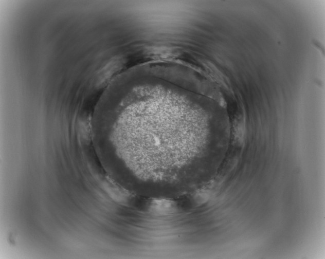 X0000099300376200805021236