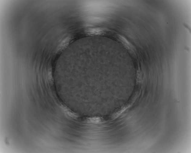 X0000099300377200805021236