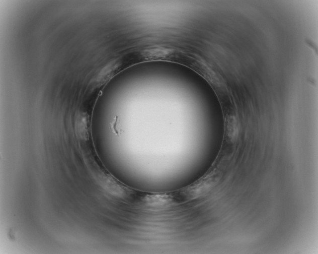 X0000099300378200805021236