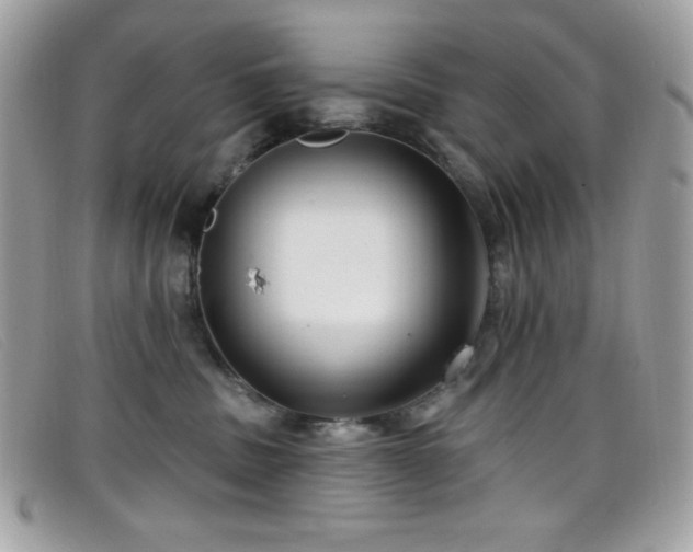 X0000099300379200805021236