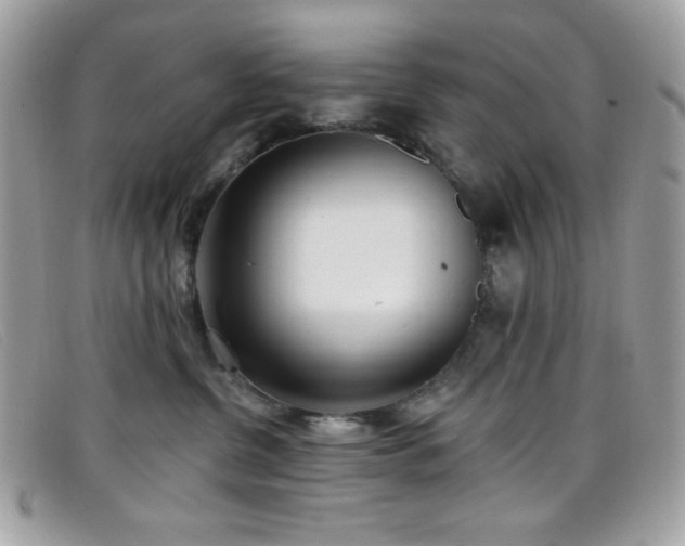 X0000099300380200805021236