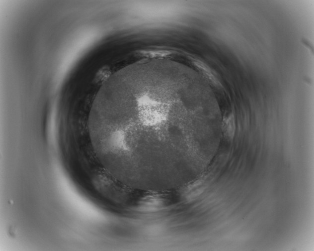 X0000099300381200805021236