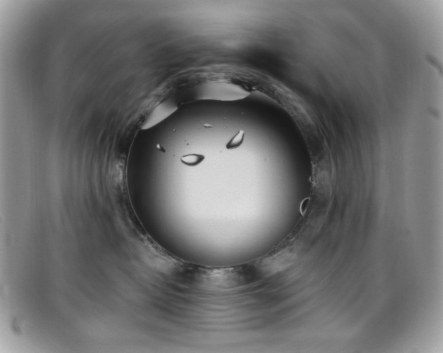 X0000099300382200805021236