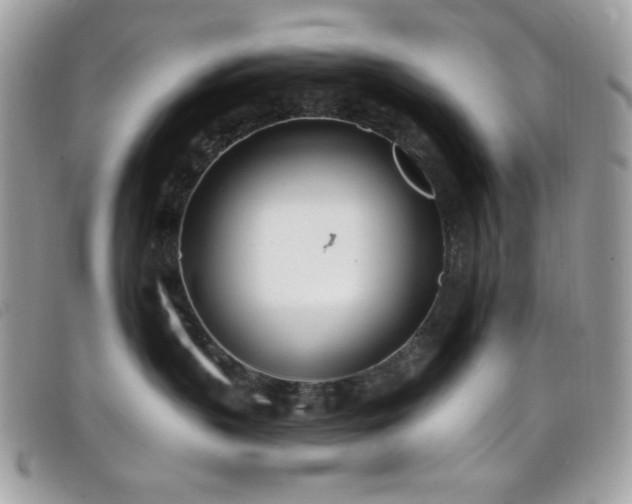 X0000099300383200805021236