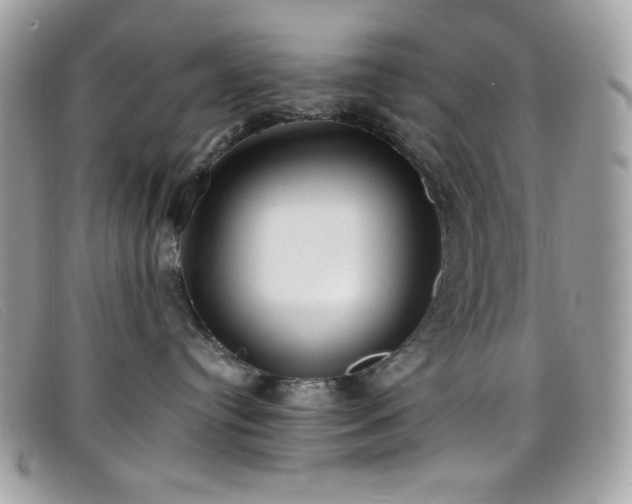 X0000099300384200805021236