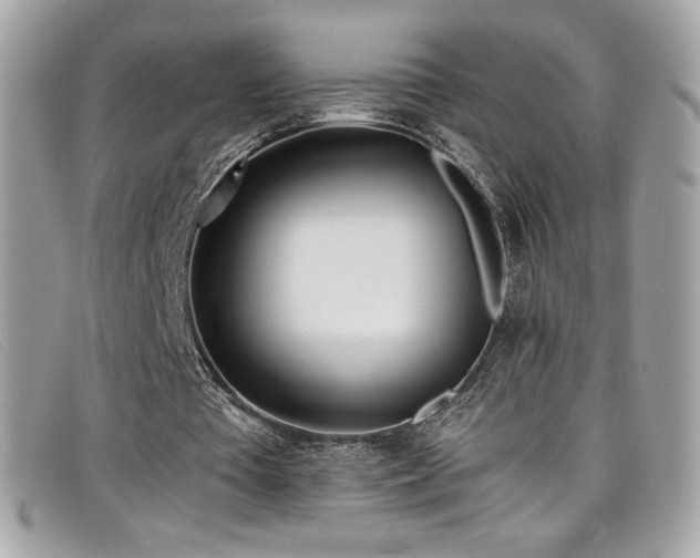 X0000099300385200805021236