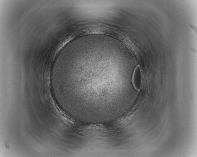 X0000099300386200805021236