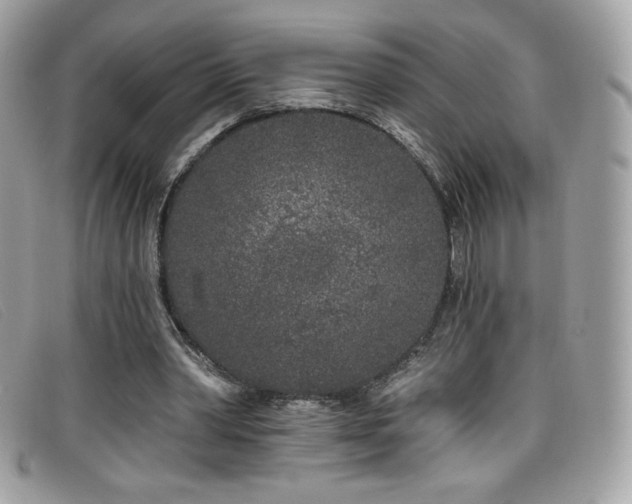 X0000099300390200805021235