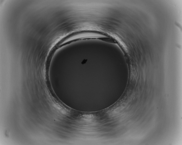 X0000099300391200805021235