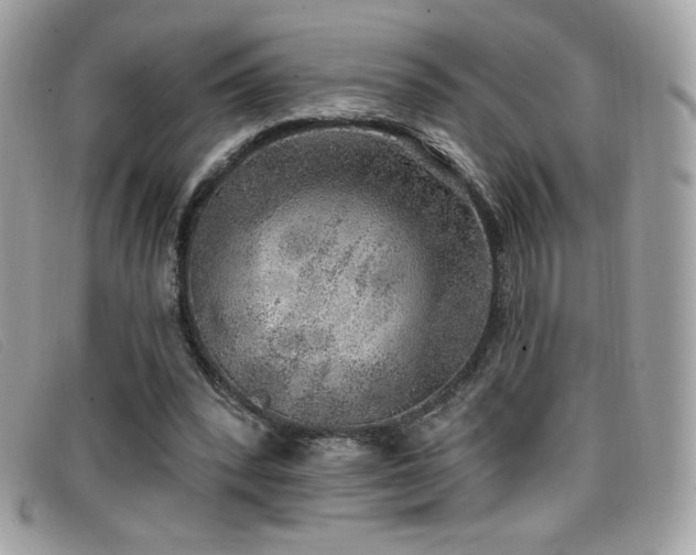 X0000099300392200805021235