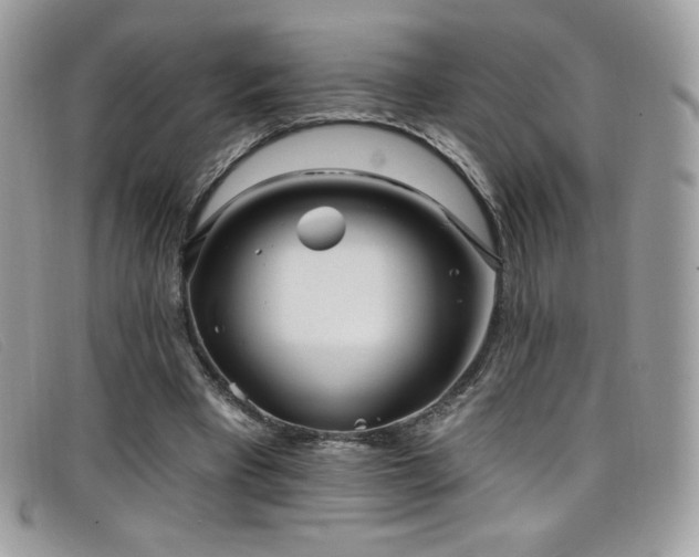 X0000099300393200805021235