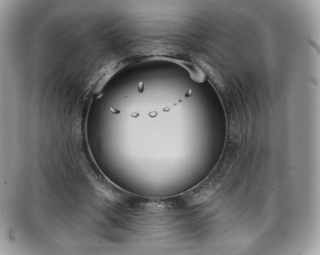 X0000099300394200805021235