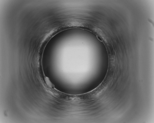 X0000099300395200805021235