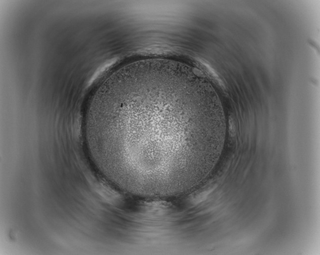 X0000099300396200805021235