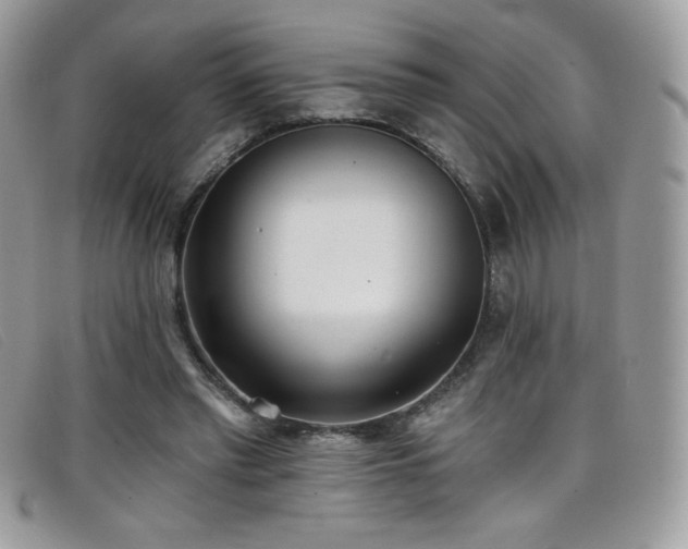 X0000099300397200805021235