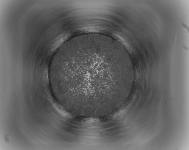 X0000099300398200805021235