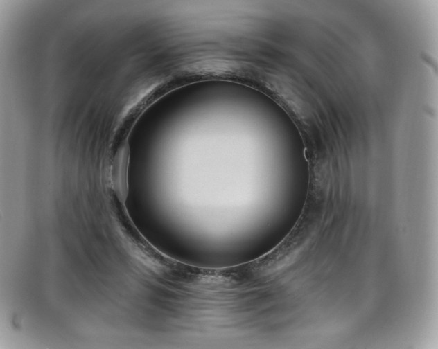 X0000099300399200805021235