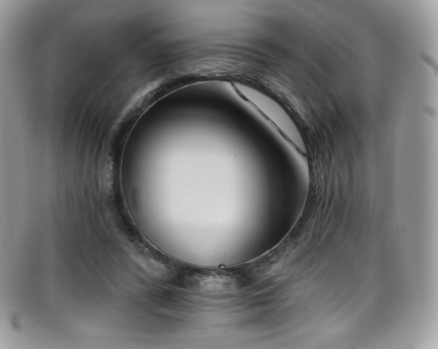 X0000099300400200805021235