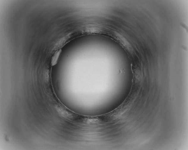 X0000099300401200805021235