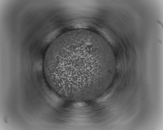 X0000099300402200805021235