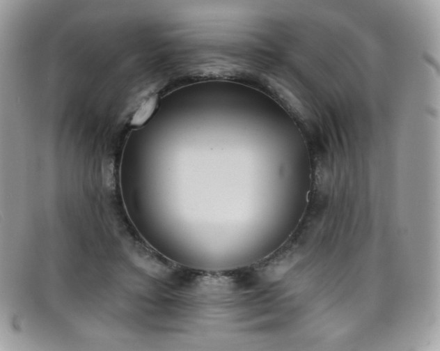 X0000099300403200805021235