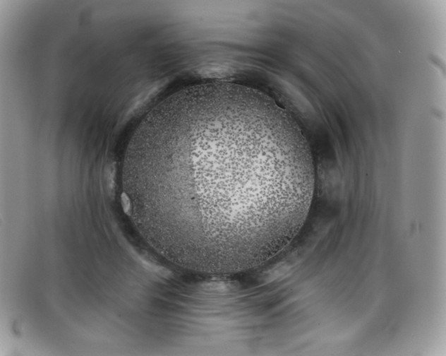 X0000099300404200805021235