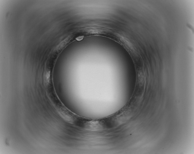 X0000099300406200805021235