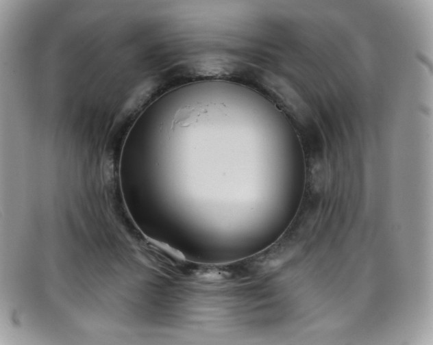 X0000099300407200805021235