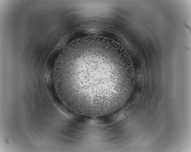 X0000099300408200805021235