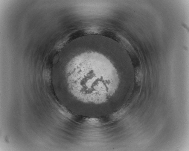 X0000099300409200805021235