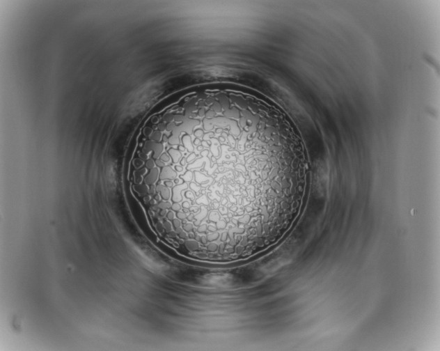 X0000099300410200805021235