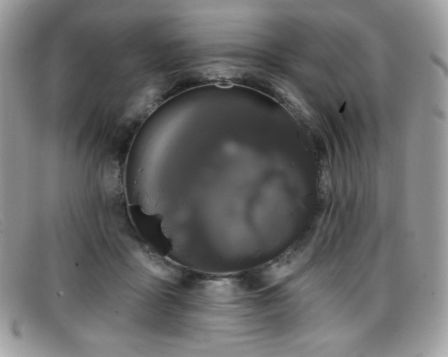 X0000099300411200805021235