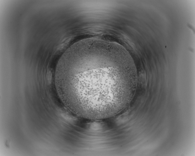 X0000099300412200805021235