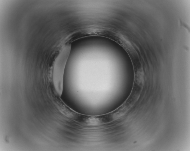 X0000099300413200805021235