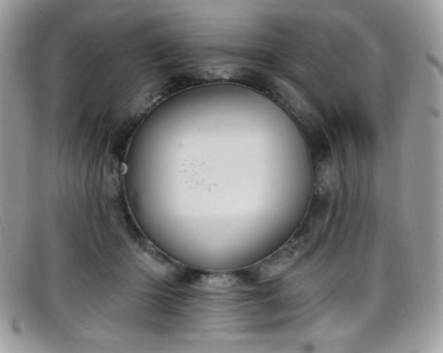 X0000099300414200805021235