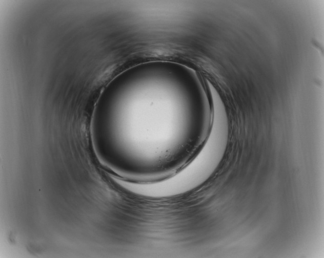 X0000099300415200805021235