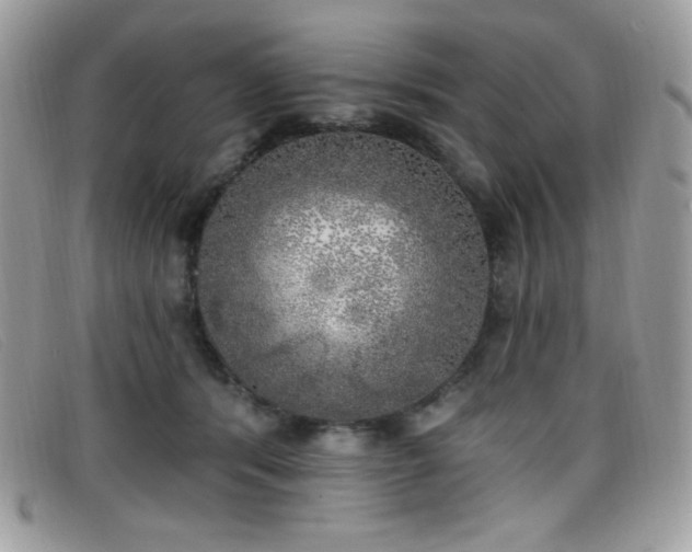 X0000099300416200805021235