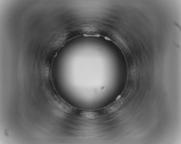 X0000099300417200805021235