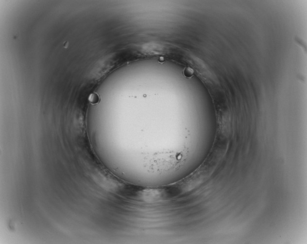 X0000099300418200805021235